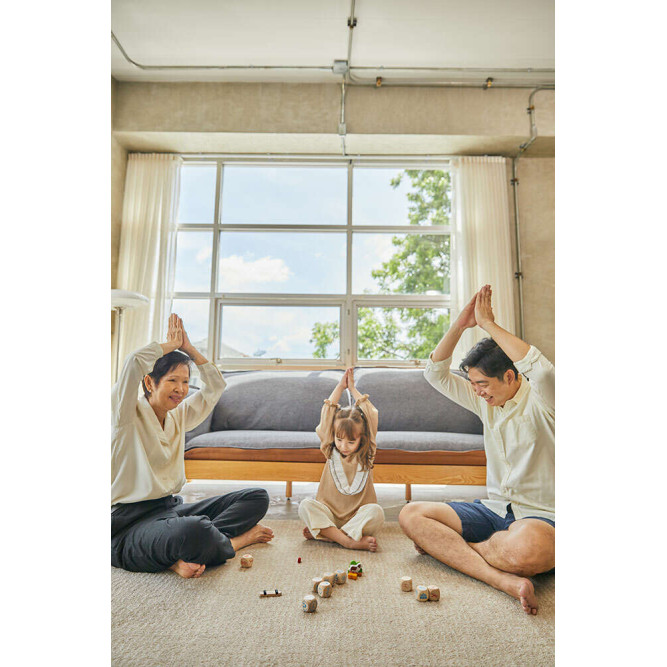 Ιστορίες με Ζάρια PlanToys 8904