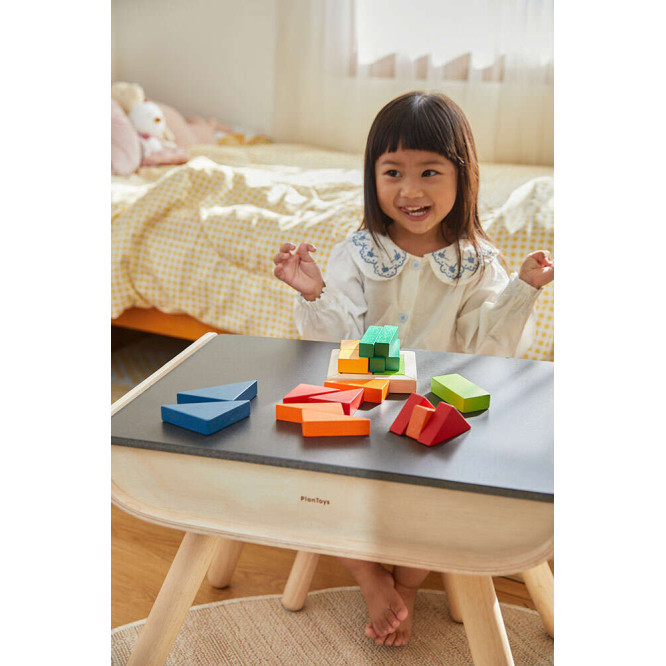 Κλάσματα με Τουβλάκια PlanToys 5467
