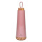Παγούρι Θερμός Chic Mic Bioloco από Ανοξείδωτο Ατσάλι 500ml (Plum)