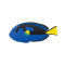 Safari Μινιατούρα Blue Tang Μπλε Τάνγκ