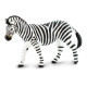 Safari Μινιατούρα Plains Zebra Κοινή Ζέβρα