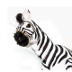 Safari Μινιατούρα Plains Zebra Κοινή Ζέβρα
