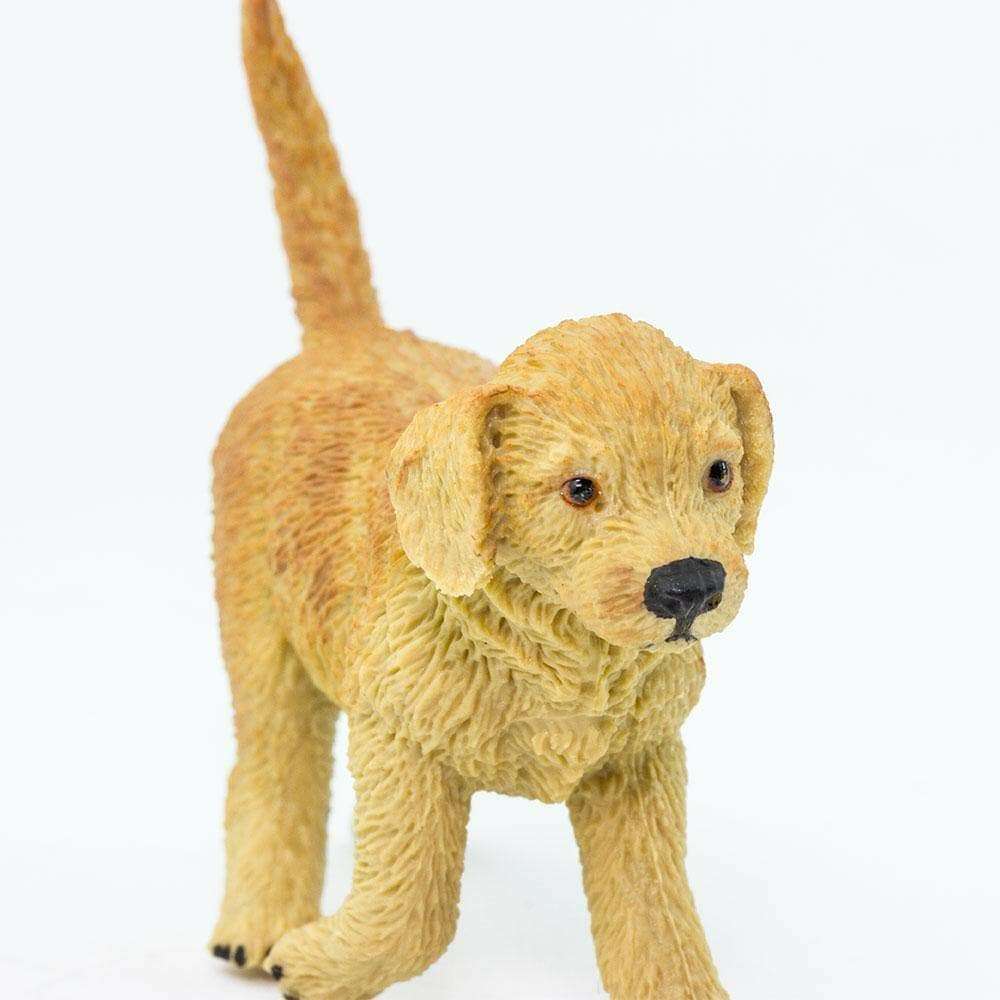Safari Μινιατούρα Golden Retriever Puppy
