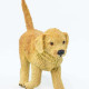 Safari Μινιατούρα Golden Retriever Puppy