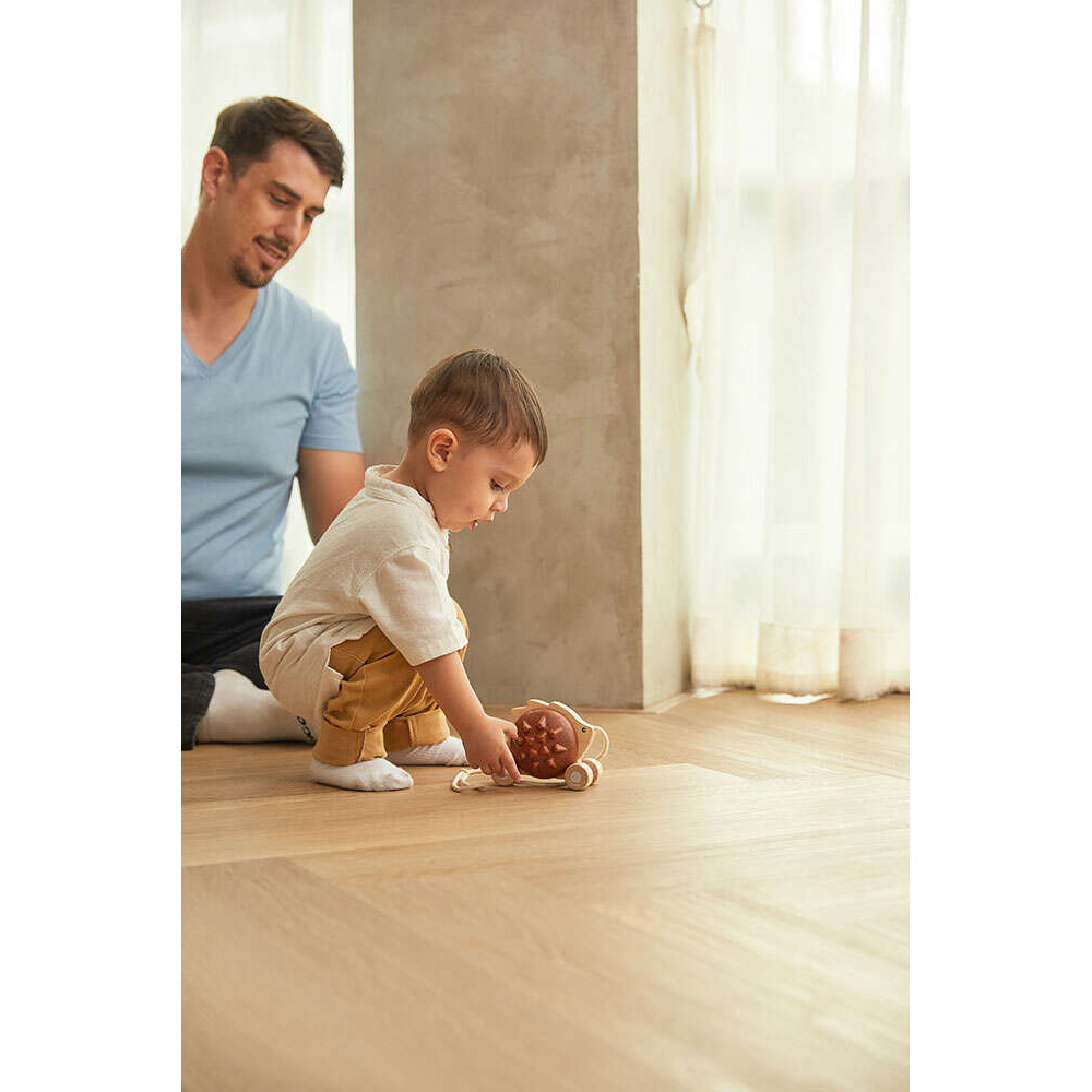 Σκαντζόχοιρος που  Κινείται – Καφέ PlanToys 5274