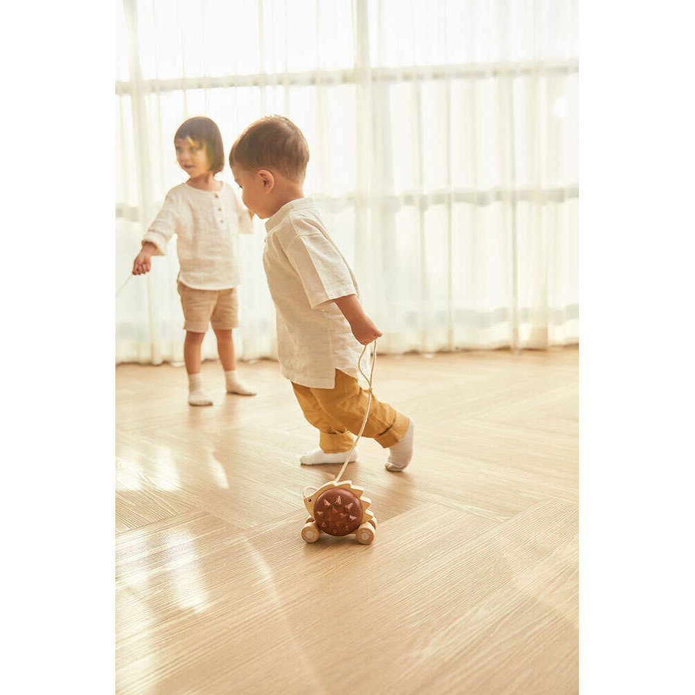 Σκαντζόχοιρος που  Κινείται – Καφέ PlanToys 5274