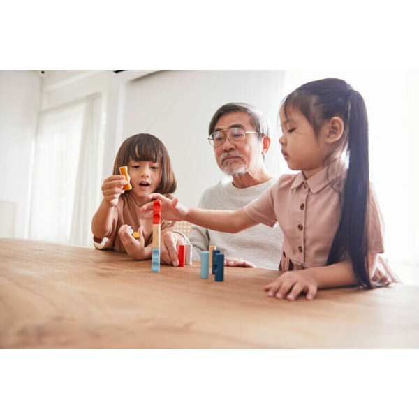 Παζλ με Κυλίνδρους PlanToys 4651