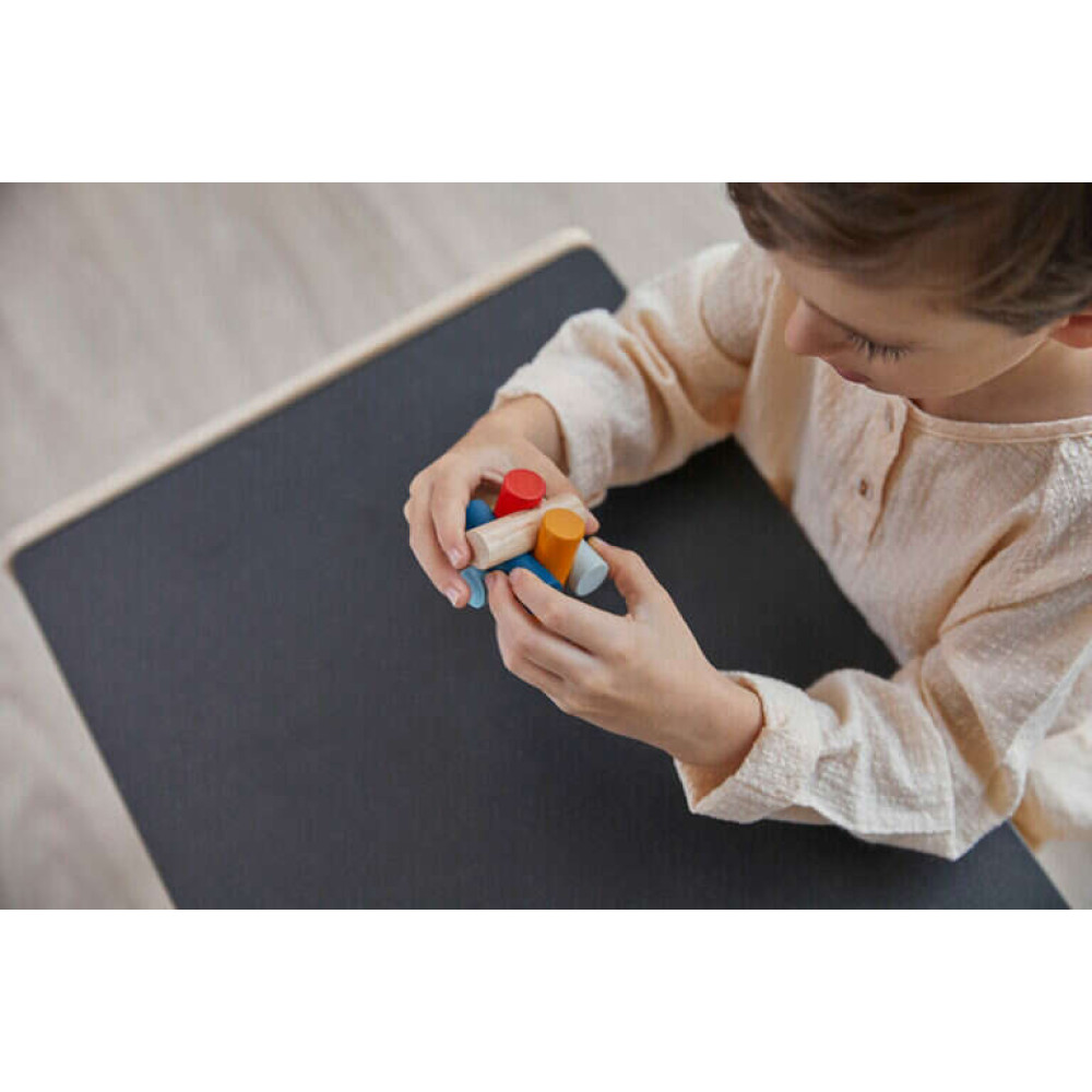 Παζλ με Κυλίνδρους PlanToys 4651