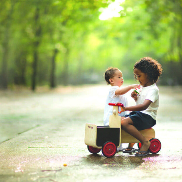 Ποδήλατο διανομής PlanToys 3479