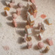 Little Dutch Σετ Ξύλινα Τουβλάκια Fairy Garden FSC