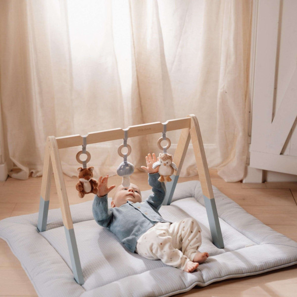 Little Dutch Βρεφικό Γυμναστήριο Forest Friends FSC