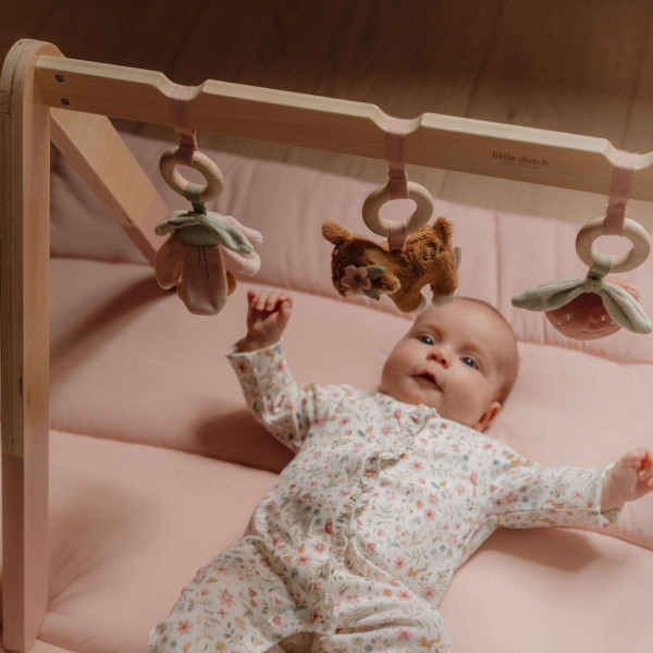 Little Dutch Βρεφικό Γυμναστήριο Fairy Garden FSC