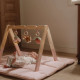 Little Dutch Βρεφικό Γυμναστήριο Fairy Garden FSC
