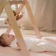 Little Dutch Βρεφικό Γυμναστήριο Fairy Garden FSC