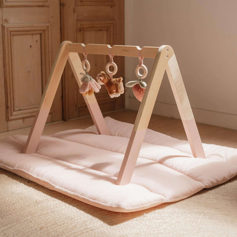 Little Dutch Βρεφικό Γυμναστήριο Fairy Garden FSC