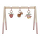 Little Dutch Βρεφικό Γυμναστήριο Fairy Garden FSC