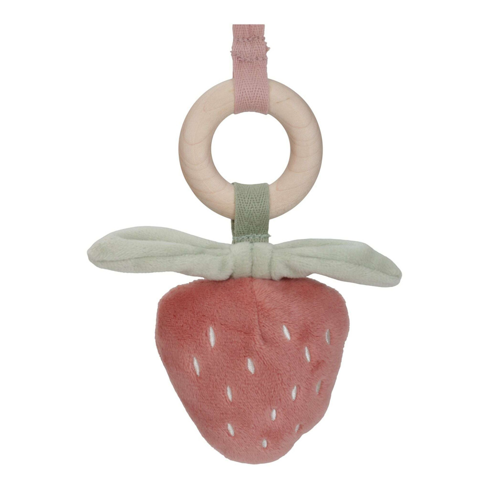 Little Dutch Βρεφικό Γυμναστήριο Fairy Garden FSC