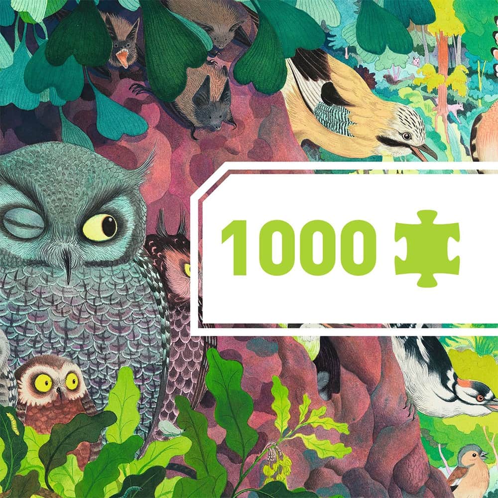Djeco Παζλ παρατήρησης Κουκουβάγια και Πτηνά 1000 τεμ