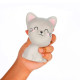 Legami VSQIF0005 Squishy Antistress Toy Kitty