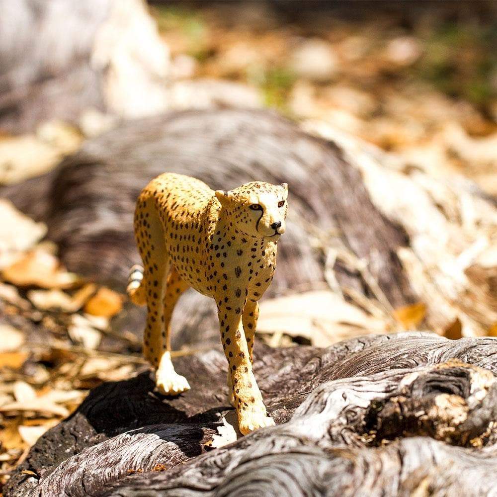 Safari Μινιατούρα Cheetah