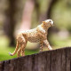 Safari Μινιατούρα Cheetah
