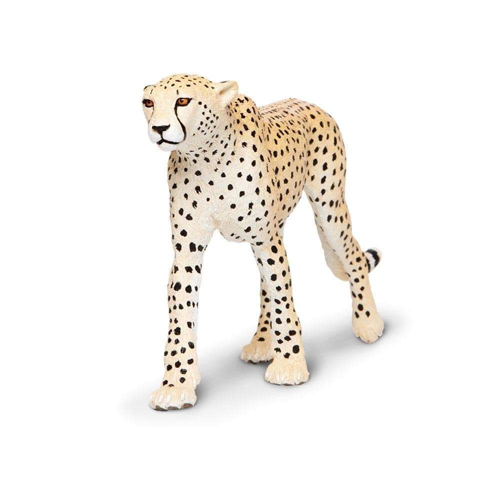 Safari Μινιατούρα Cheetah