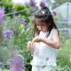 Little Dutch Βαζάκι Παρατήρησης Εντόμων Fairy Garden FSC