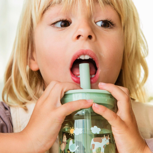 Little Dutch Παιδικό  Ποτήρι με Καλαμάκι Mio 250 ml - Fairy Garden