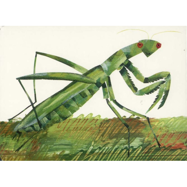 Ένας Γρύλος Πολύ Σιωπηλός