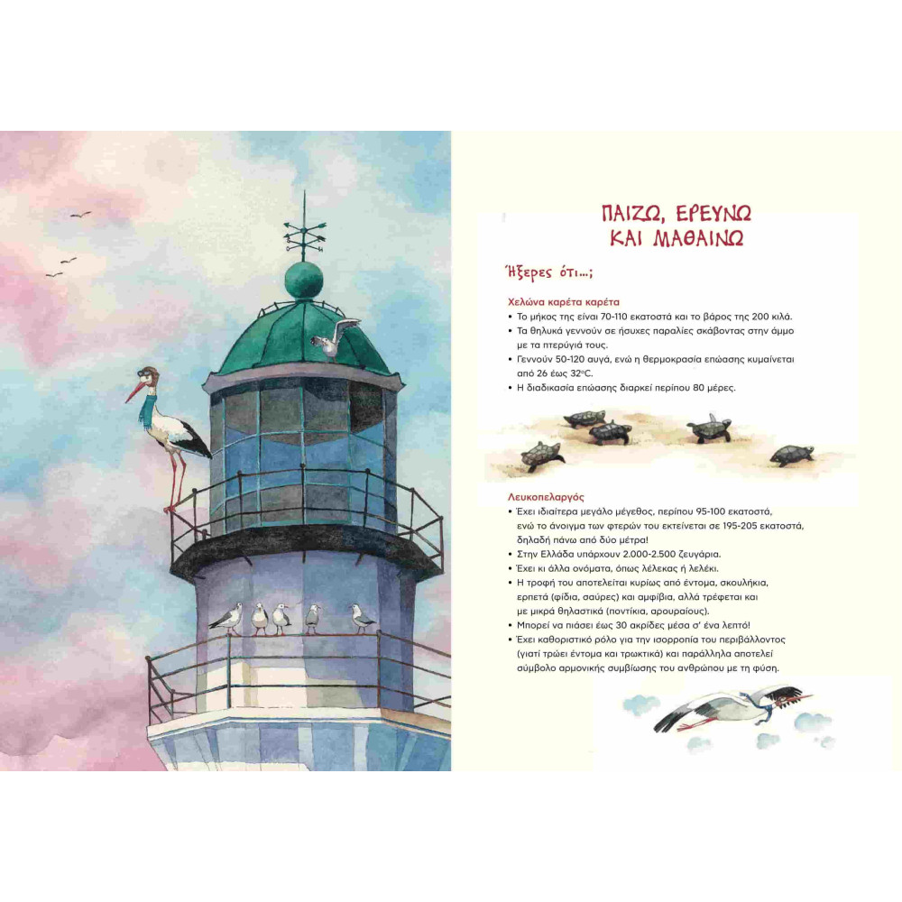 Στα Φτερά του Κοκκινομύτη