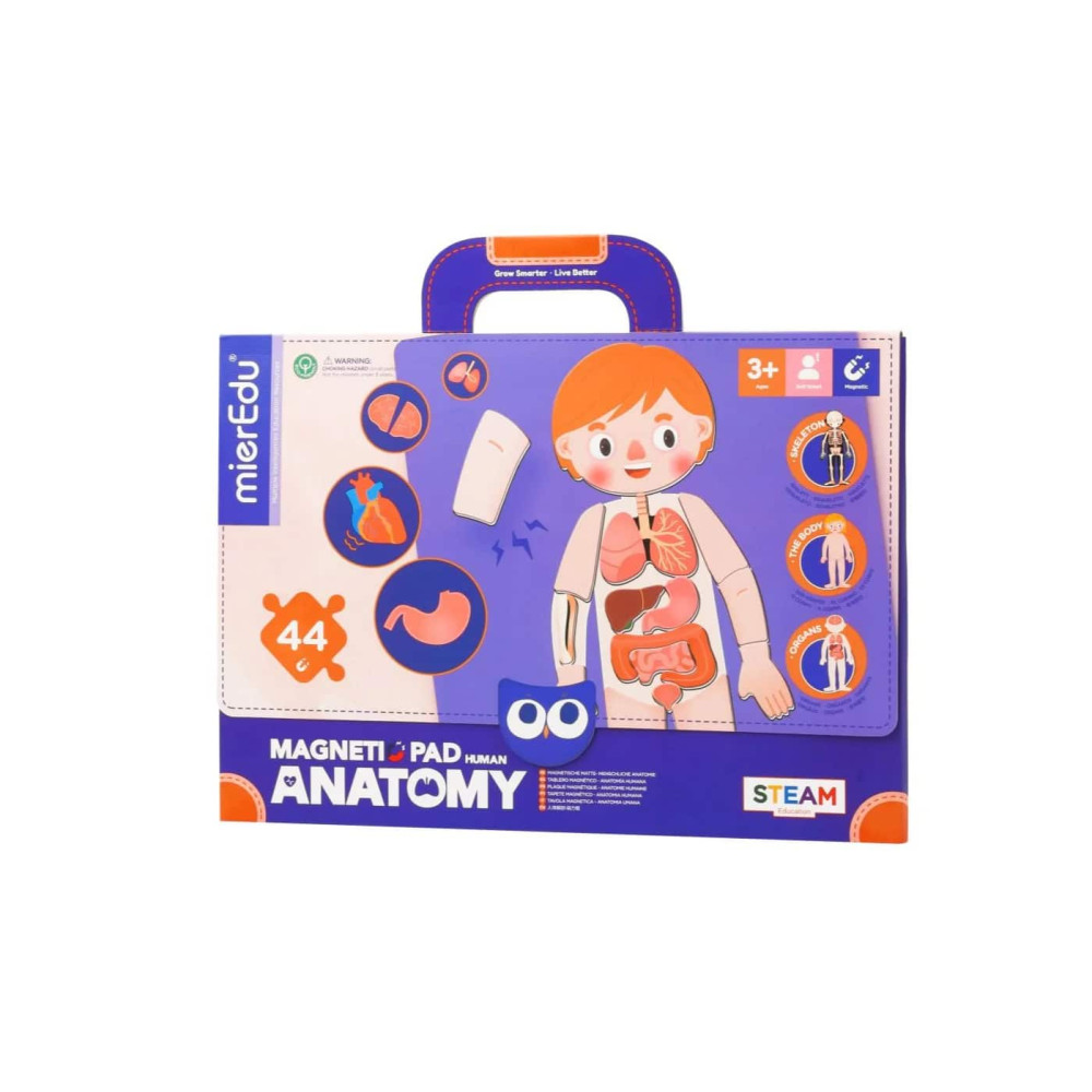 MierEdu Μαγνητικό Παζλ Anatomy