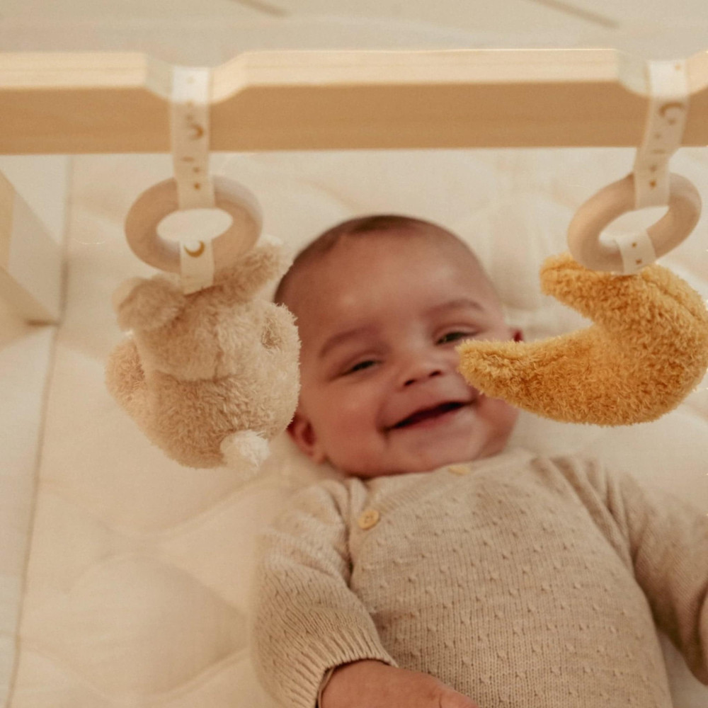 Little Dutch Βρεφικό Γυμναστήριο Δραστηριοτήτων Newborn Naturals GRS