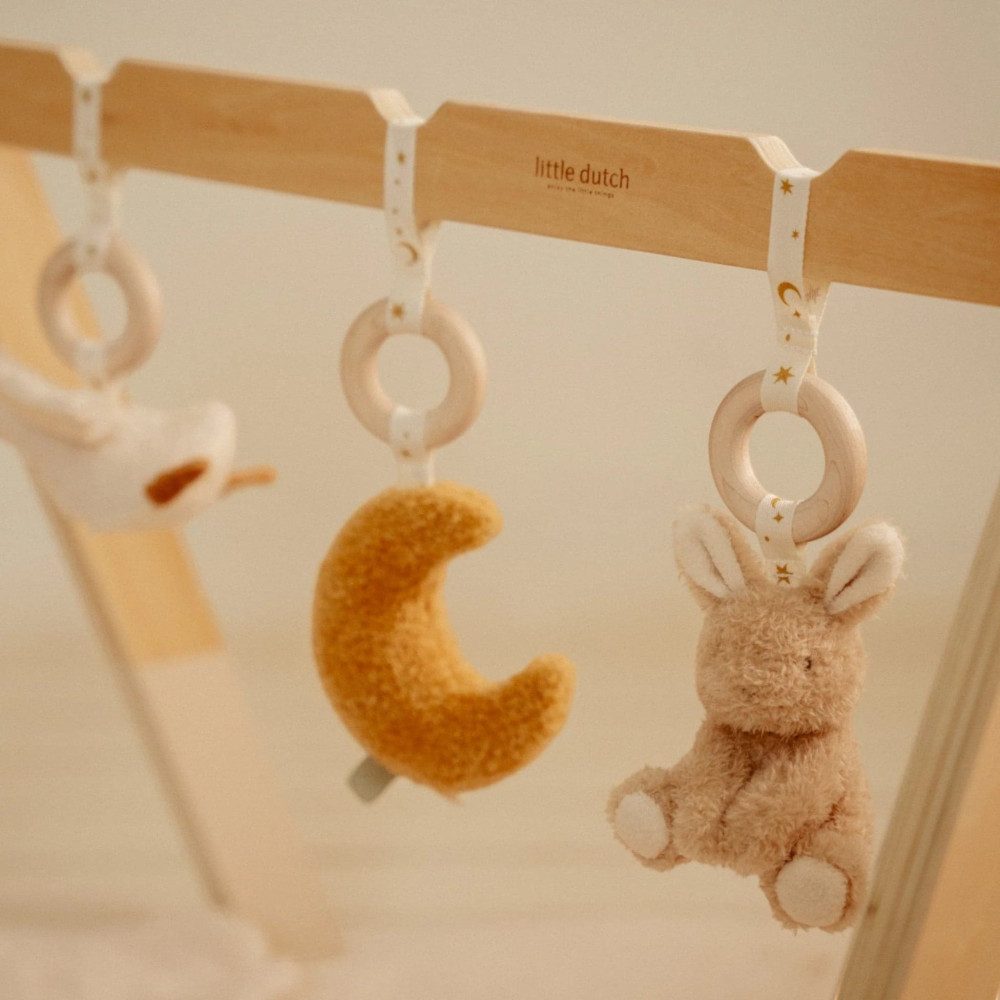 Little Dutch Βρεφικό Γυμναστήριο Δραστηριοτήτων Newborn Naturals GRS