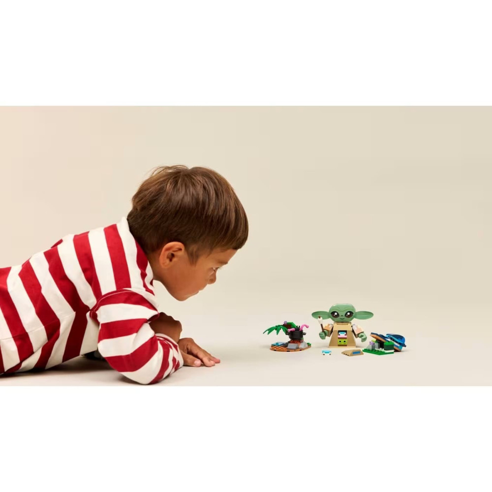 LEGO Star Wars Grogu's Homestead (75443)