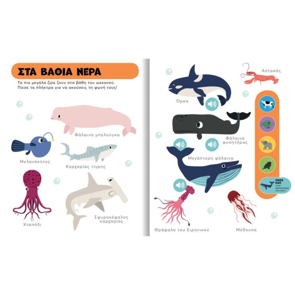 Τα Πρώτα μου Ζωάκια με Ήχους