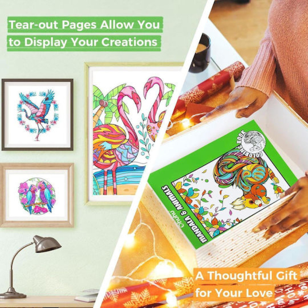 Ohuhu Bleedproof Coloring Book Mandala & Animals