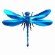 Assembli 3D Paper Giant Dragonfly - Sapphire Blue (55 x 40 x 13 cm)