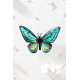 Assembli 3D Paper Butterfly Green Birdwing (12 x 17 x 5,5 cm)