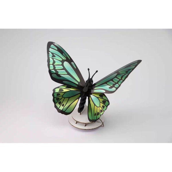 Assembli 3D Paper Butterfly Green Birdwing (12 x 17 x 5,5 cm)