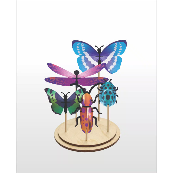 Assembli DIY Wooden Display Set