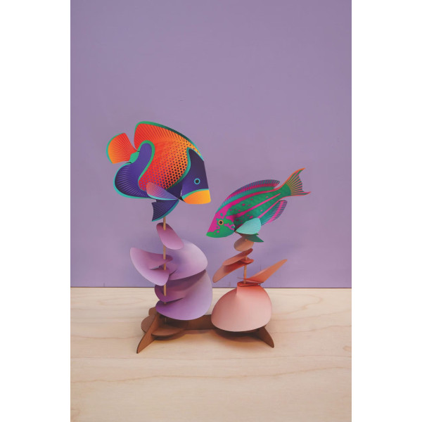 Assembli 3D Paper Fish Duo: Majestic Angelfish & Rainbow Wrasse (31 x 26 cm)