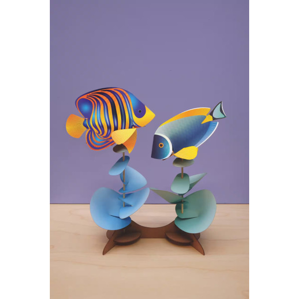 Assembli 3D Paper Fish Duo: Regal Angelfish & Powder Tang (26 x 26 cm)