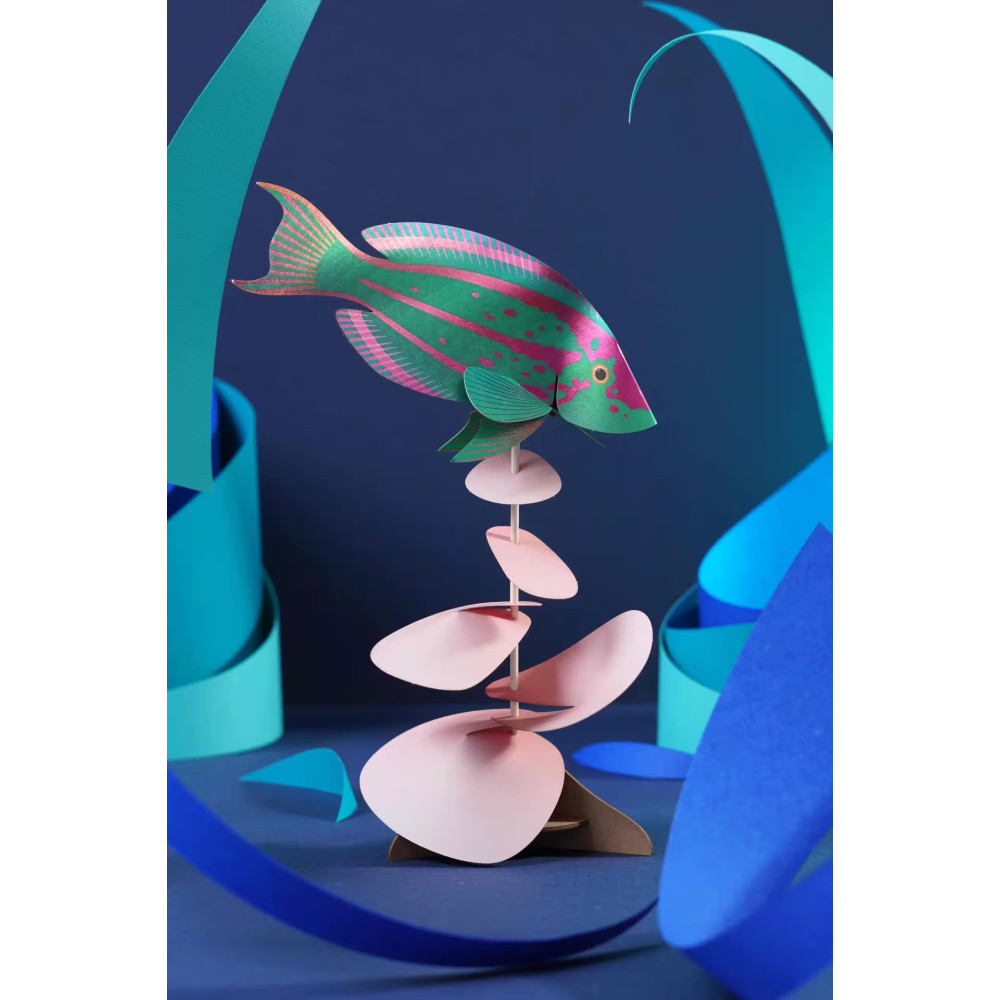 Assembli 3D Paper Rainbow Wrasse (17 x 19 cm)