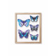 Assembli 3D Paper Butterfly Set - Blue Blend
