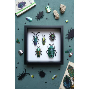 Assembli 3D Paper Beetle Set - Green Blend