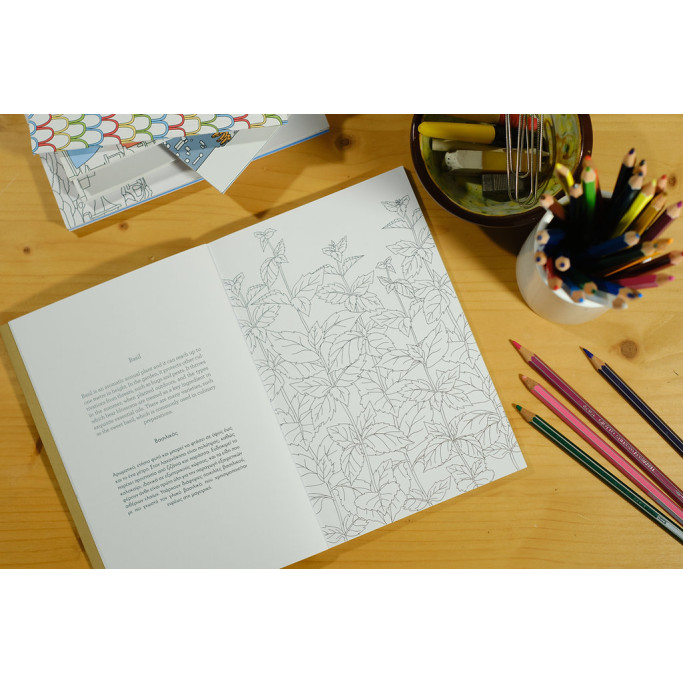 Colour & Learn Series: The Greek Garden - Colouring Book