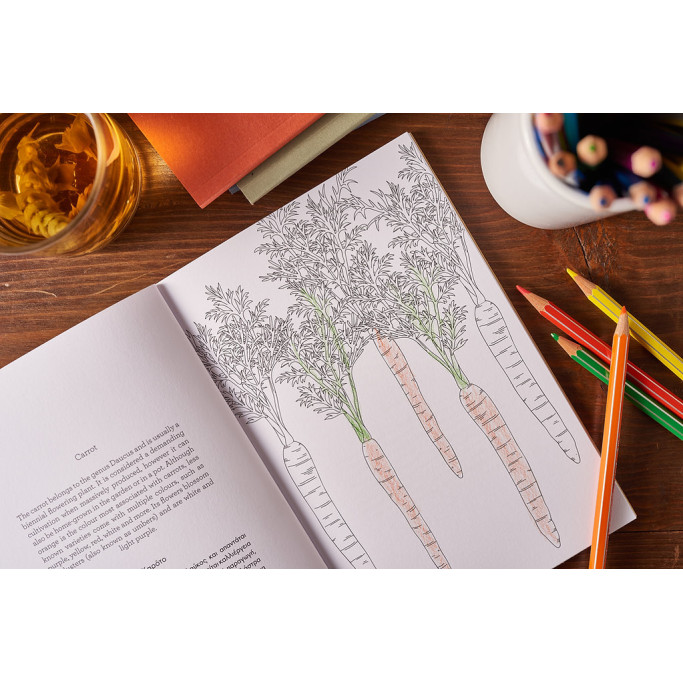 Colour & Learn Series: The Greek Garden - Colouring Book