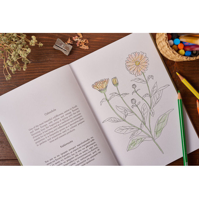 Colour & Learn Series: The Greek Herbs - Colouring Book