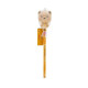 Legami Μολύβι με Teddy Bear "Dream Big" - Squeezies