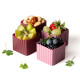 Lekkabox Bento Cups Θήκες Σιλικόνης 4 τμχ (Plum)